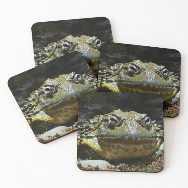 Item preview, African bullfrog designed and sold by rootedrender.