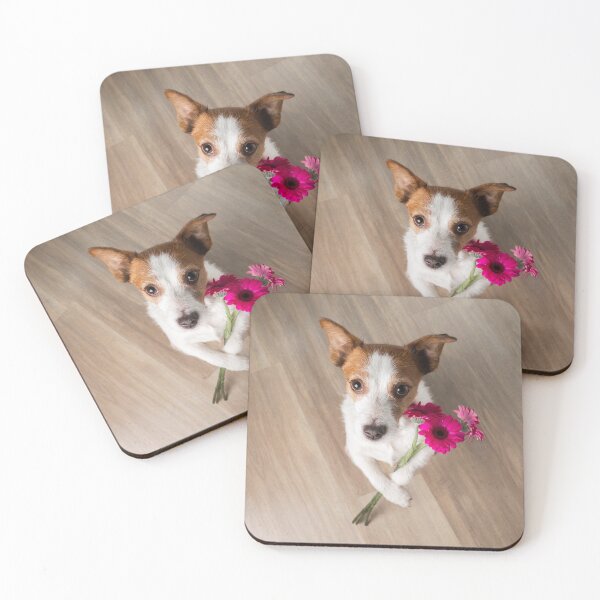 Aperçu de l'œuvre Jack Russell Terrier 3 créée et vendue par daisyricky.