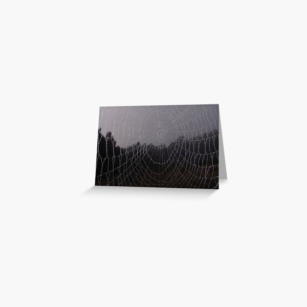Morning Mist - Candy Matthews Greeting Card