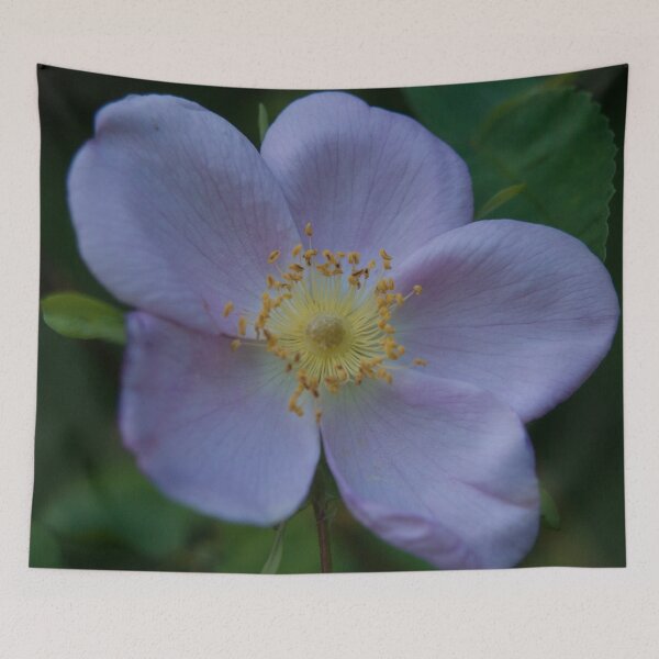 Item preview, Wild Strawberry designed and sold by StevenElliot.