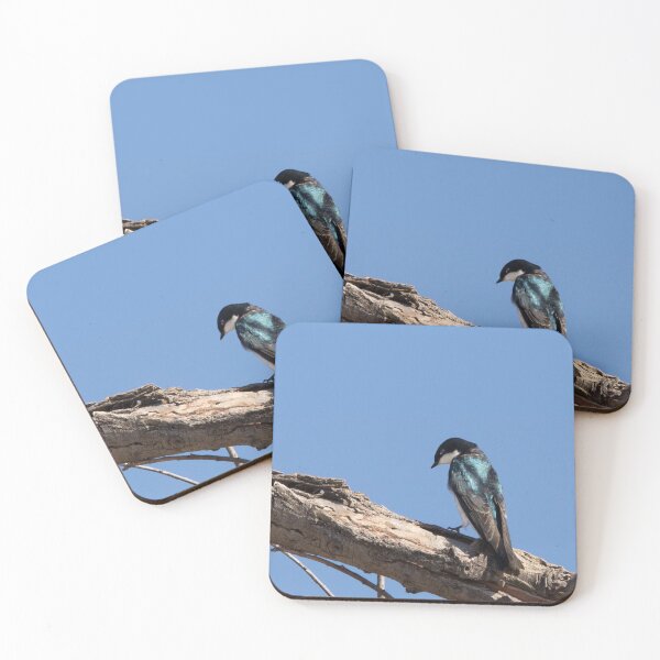 Item preview, Tree Swallow designed and sold by CarolM.