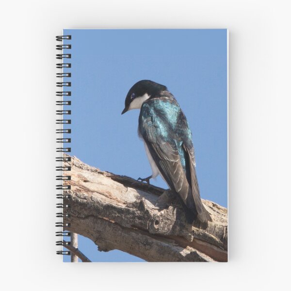 Item preview, Tree Swallow designed and sold by CarolM.