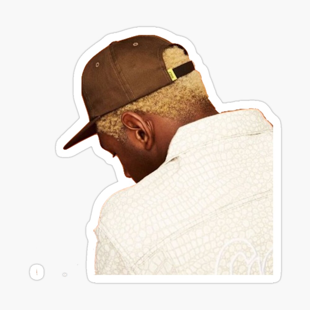 Tyler, the creator Sticker by Leberkassemmel