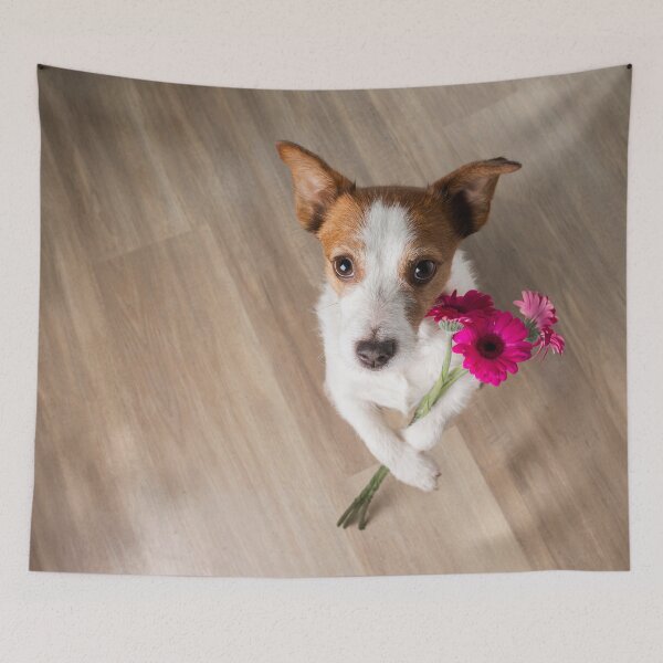 Aperçu de l'œuvre Jack Russell Terrier 3 créée et vendue par daisyricky.