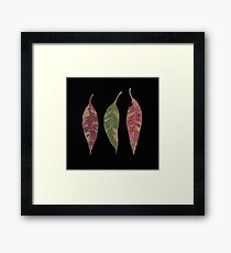 3 leaves on black Framed Print