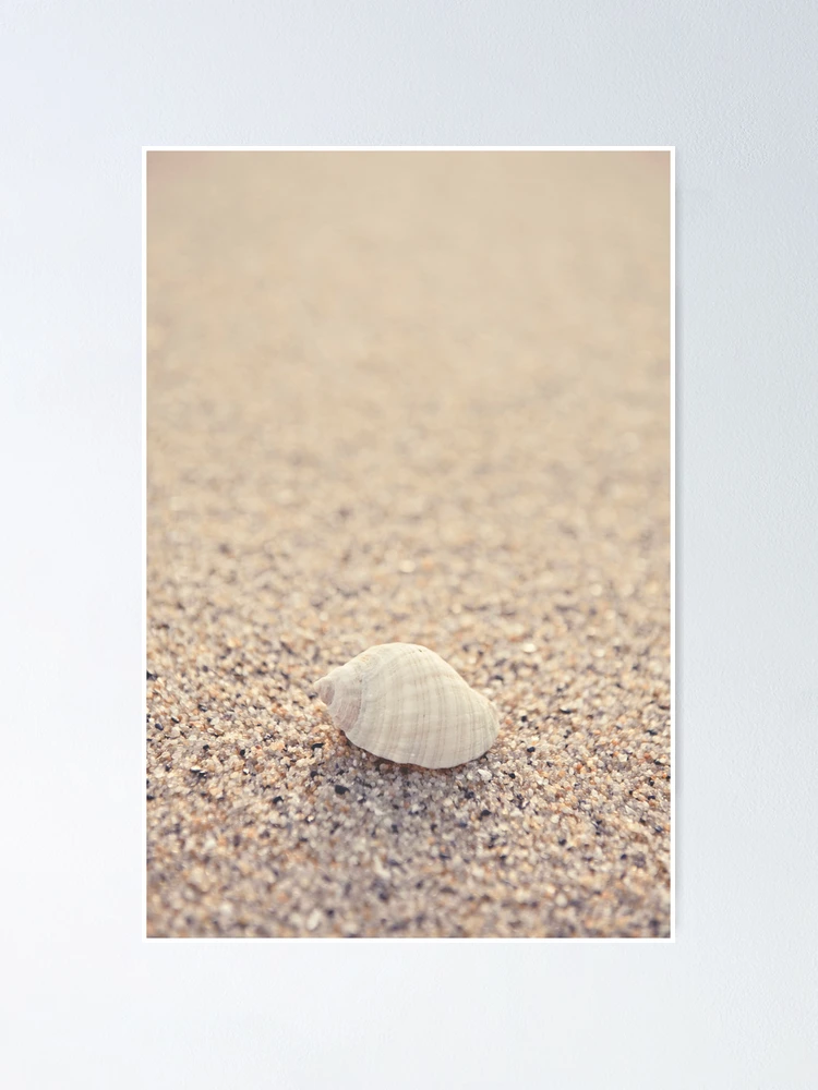 Thumbnail 1 of 3, Poster, Shell designed and sold by Anthony and Kelly Rae.