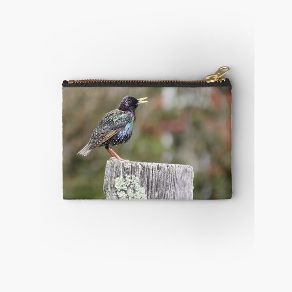 Item preview, Mardi Gras Starling designed and sold by Autumn Seas Photography.