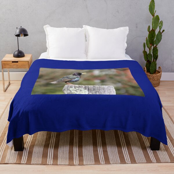Item preview, Mardi Gras Starling designed and sold by Autumn Seas Photography.