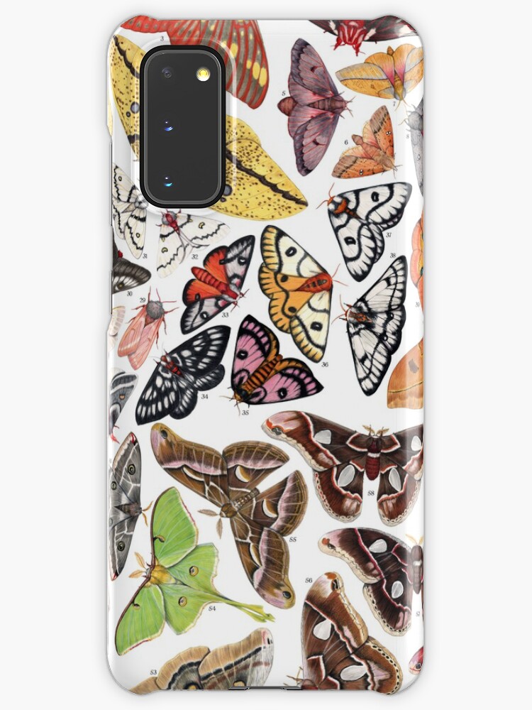 Pictures Of Moths In North America