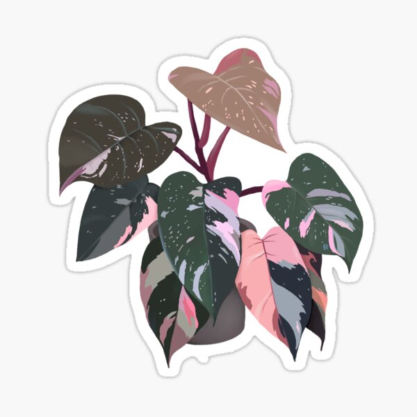 Item preview, Pink princess philodendron  designed and sold by Rain Richardson.