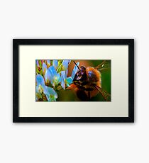 Some say life is nothing but toil Framed Print