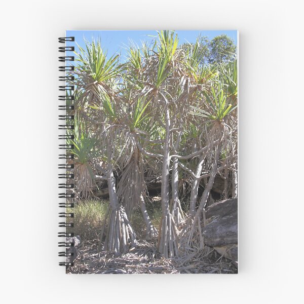 Item preview, Rock Pandanus, Arnhem Land designed and sold by Carole-Anne.