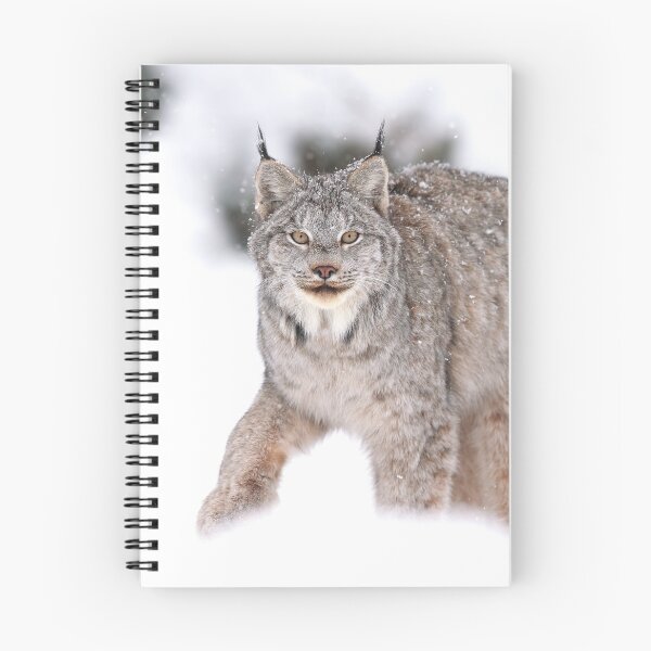 Item preview, Mid-Step Lynx designed and sold by mlorenz.