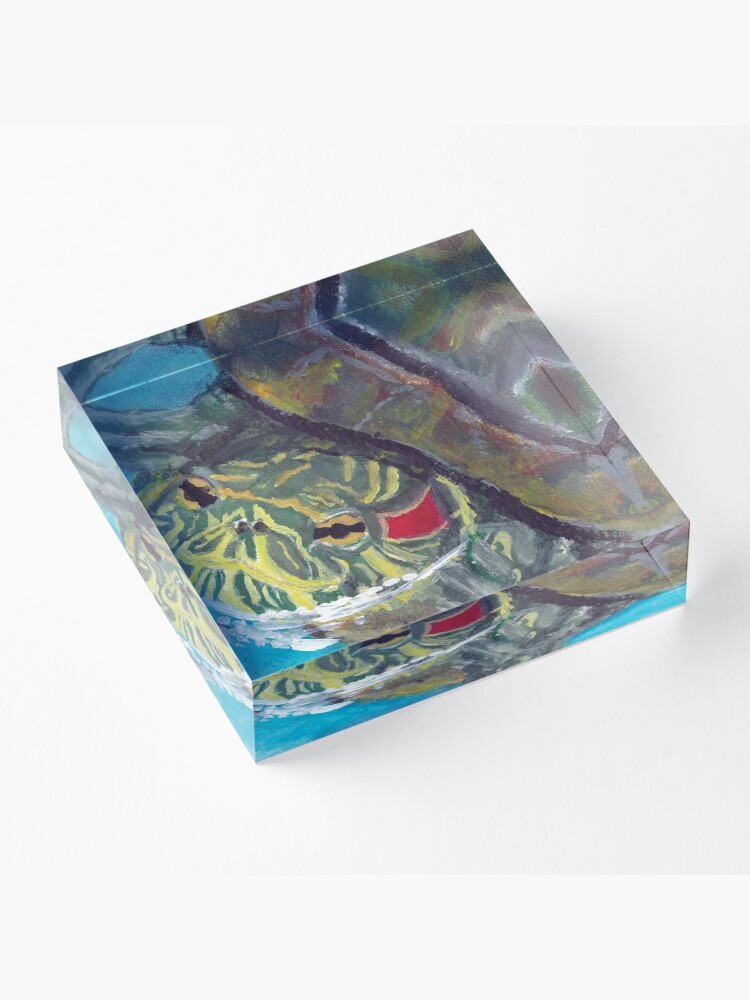 Alternate view of Red Eared Slider Acrylic Block