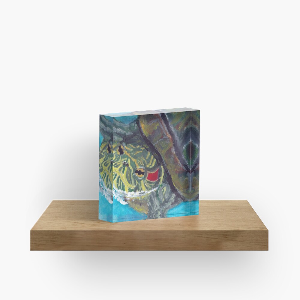 Red Eared Slider Acrylic Block