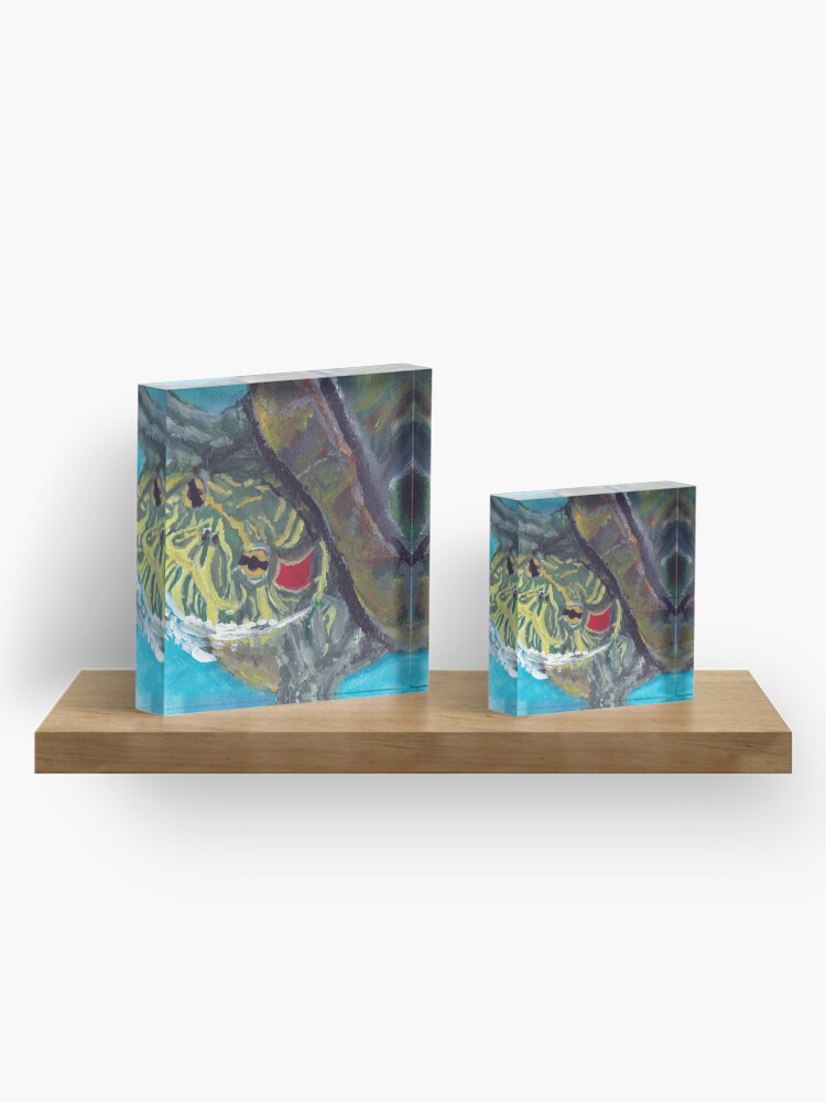 Alternate view of Red Eared Slider Acrylic Block