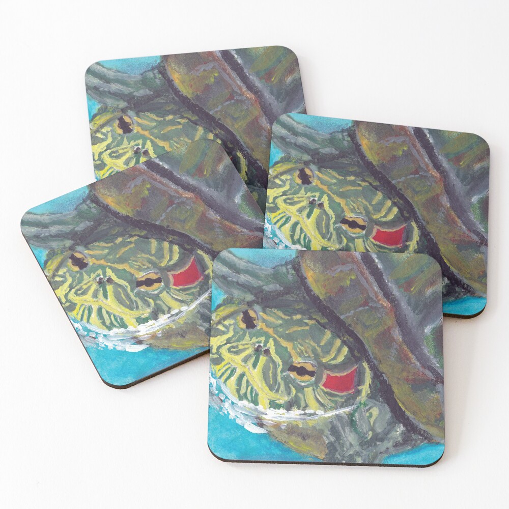 Red Eared Slider Coasters (Set of 4)