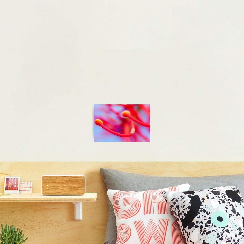 Item preview, Photographic Print designed and sold by chezza.