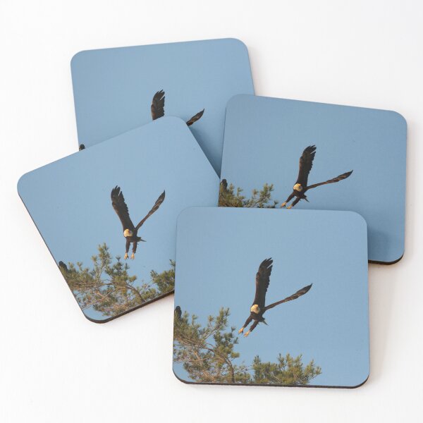 Item preview, The crow and bald eagle designed and sold by locustgirl.