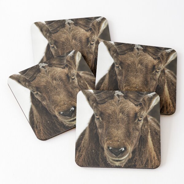 Item preview, Evil Alpine Ibex designed and sold by photobypj.
