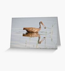 A Snail Snack Greeting Card