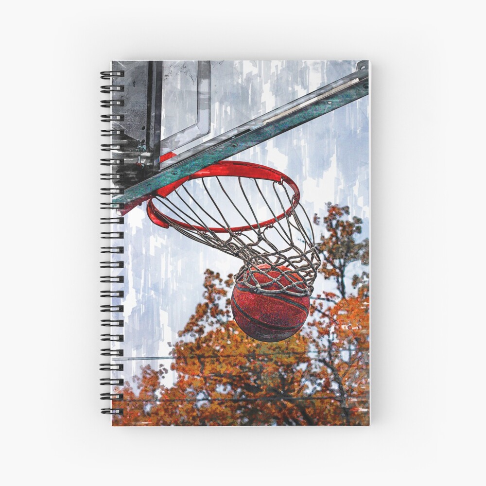 Paint Your Own Basketball Goal  Basketball goals, Basketball backboard,  Fantasy basketball