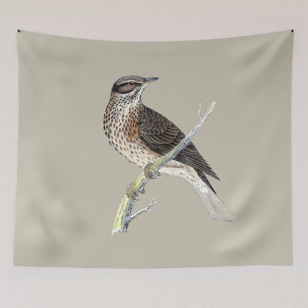 Item preview, Antique Bird Print / Redwing designed and sold by FuzzyHoney.