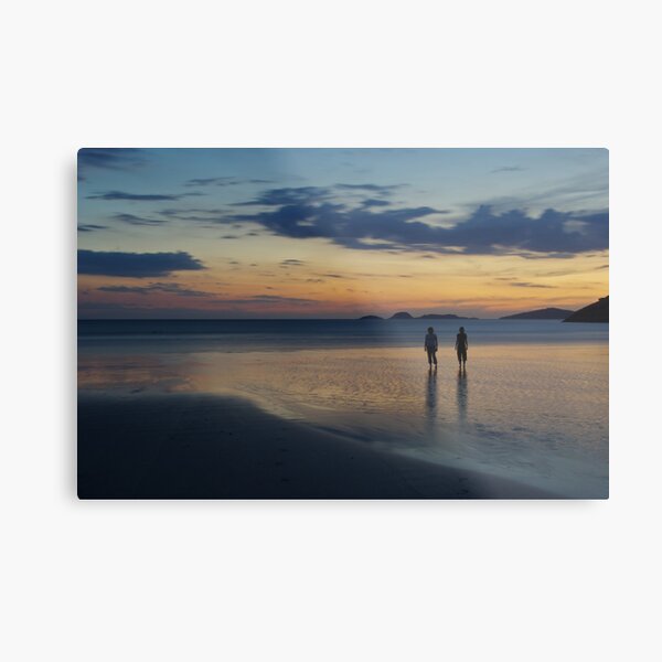 Still Metal Print