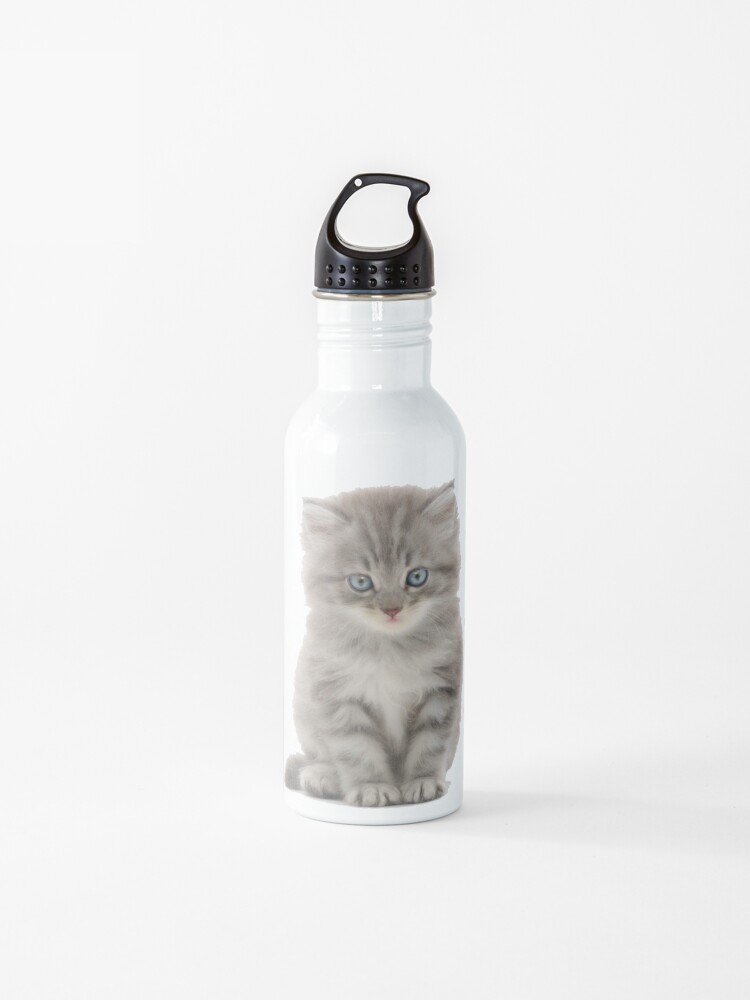 kitten water bottle