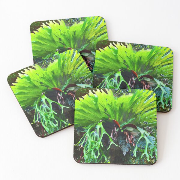Item preview, Stag Horn Fern designed and sold by Margaret Stevens.