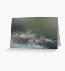 Dancing Fairies Greeting Card