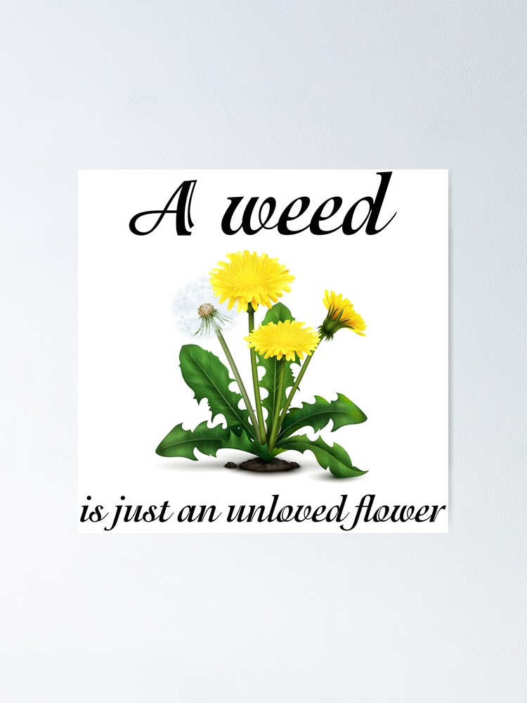 "A Weed Is Just an Unloved Flower" Poster by DAndSDesigns Redbubble