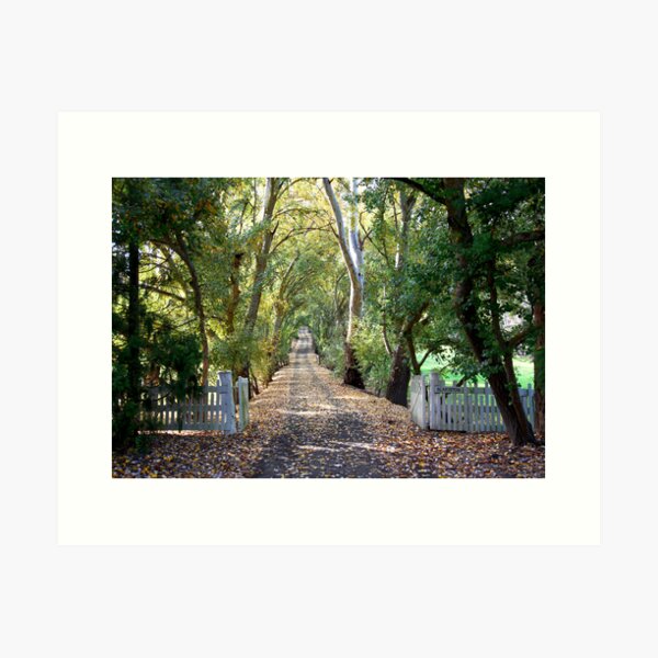 Item preview, ~ The Driveway ~ designed and sold by LeeoPhotography.