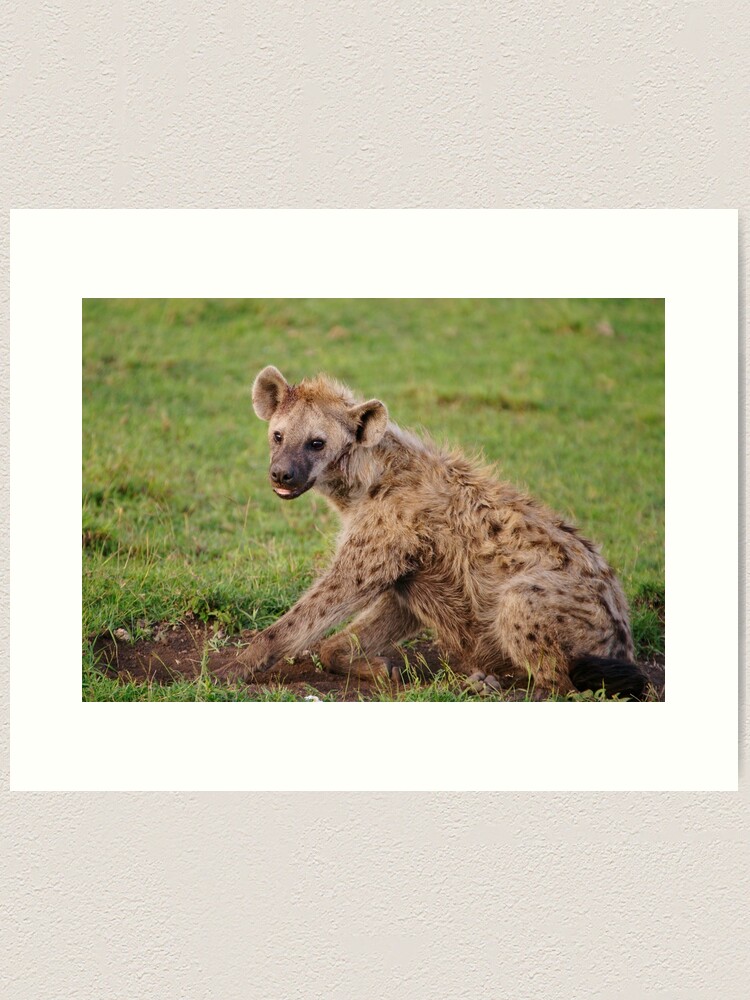 Alternate view of spotted hyena juvenile Art Print