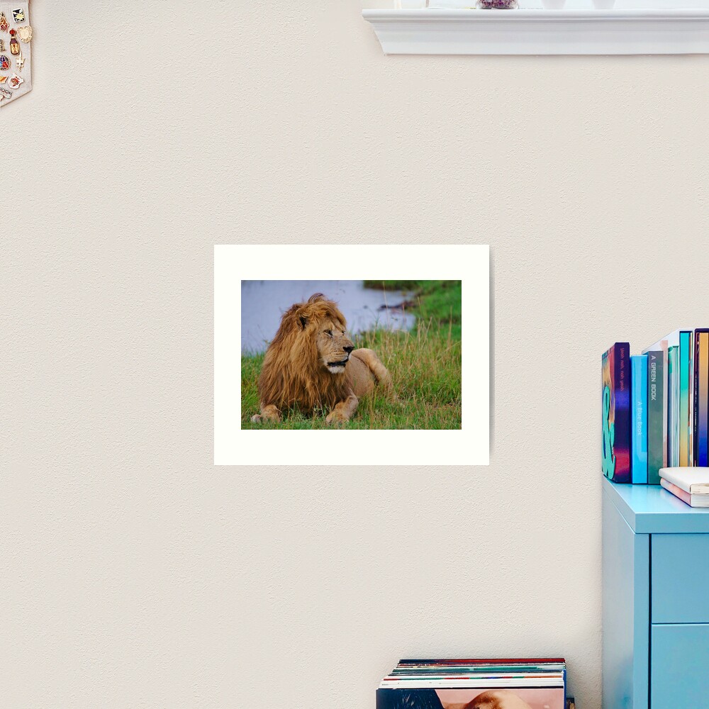 "king of the savanna" Art Print
