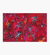 Midnight Garden cycle13 15 Photographic Print