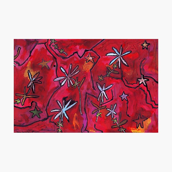 Midnight Garden cycle13 15 Photographic Print