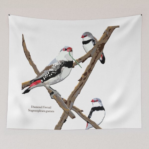 Item preview, Diamond Firetail Stagonopleura guttata by Chrissy Wild on white designed and sold by ChrissyWild.