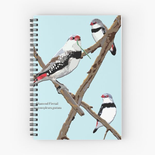 Item preview, Diamond Firetail Stagonopleura guttata by Chrissy Wild on sky designed and sold by ChrissyWild.