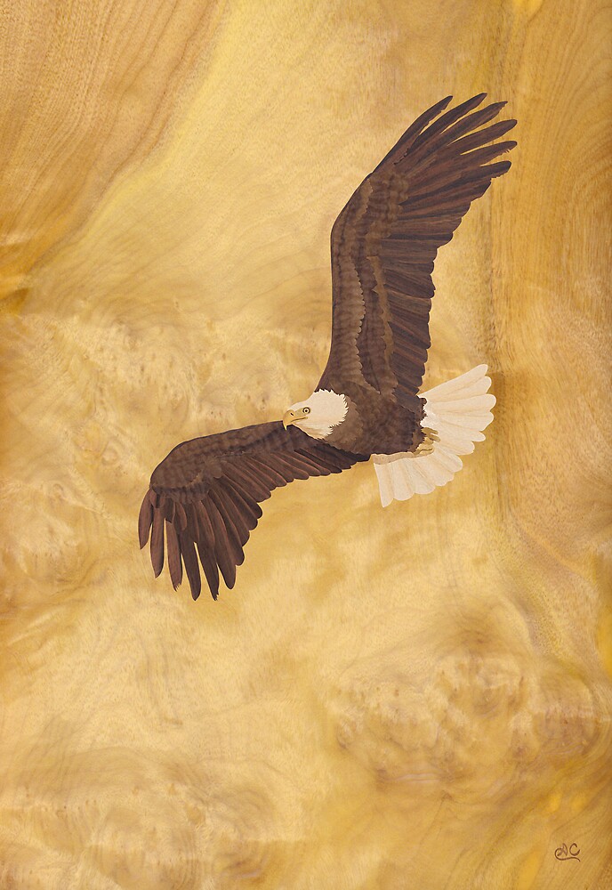 "Bald Eagle Wood Art" by Vincent Doan Redbubble