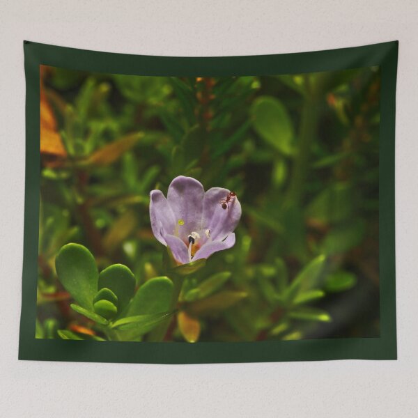 Item preview, An Ant Emerging From A Small Purple Pond Flower designed and sold by Jason Gilbert.