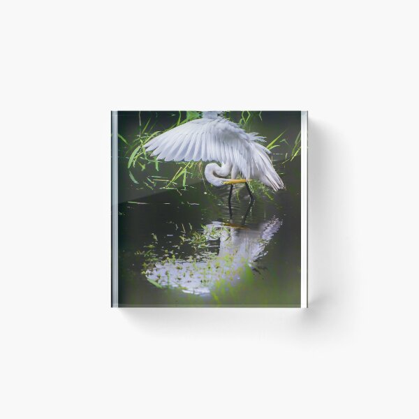 Item preview, Preening egret designed and sold by Joe Saladino.