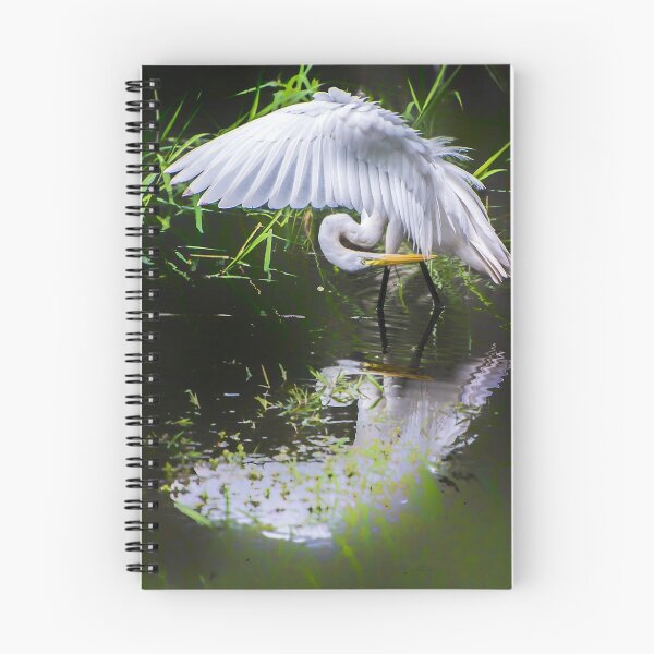 Item preview, Preening egret designed and sold by Joe Saladino.