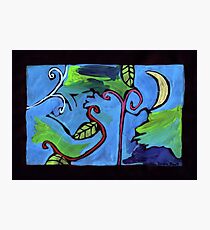 Midnight Garden cycle7 13 Photographic Print