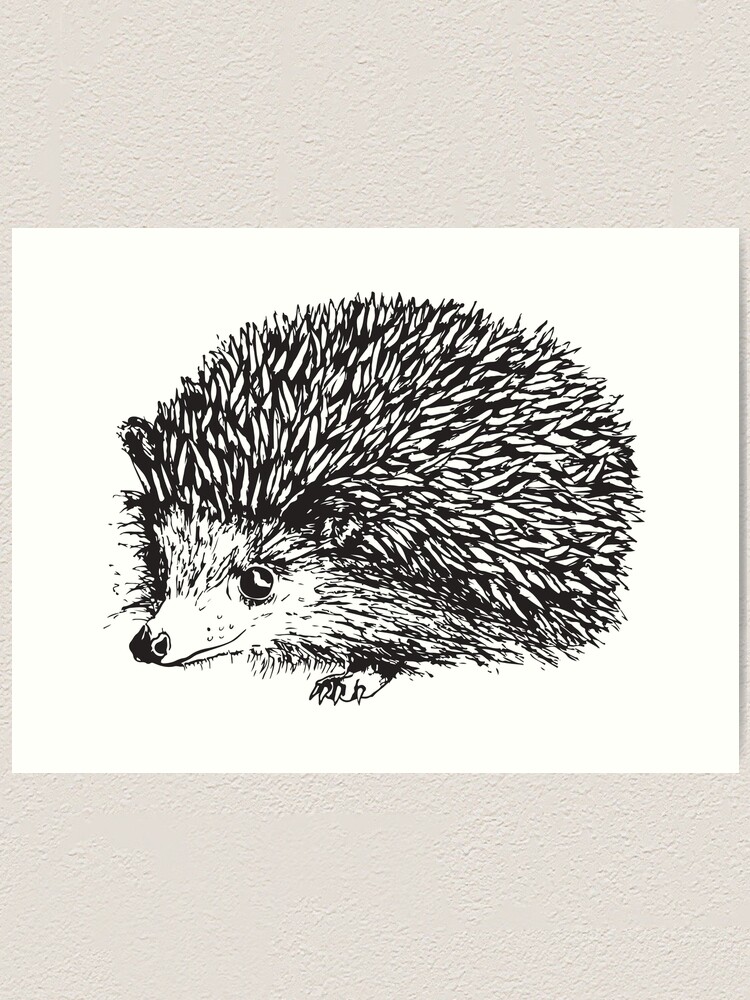 Impression Artistique Bebe Herisson Mignon Par Tesseromni Redbubble
