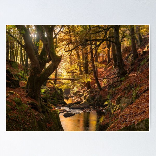 Wicklow in Autumn Poster