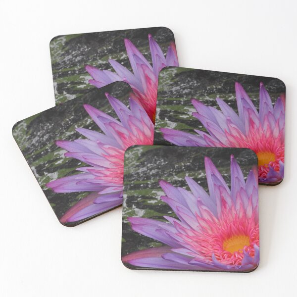 Item preview, Purple and pink water lily designed and sold by rootedrender.