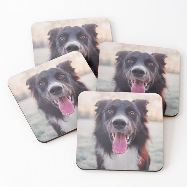 Item preview,  Overjoyed border collie designed and sold by 1STunningART.
