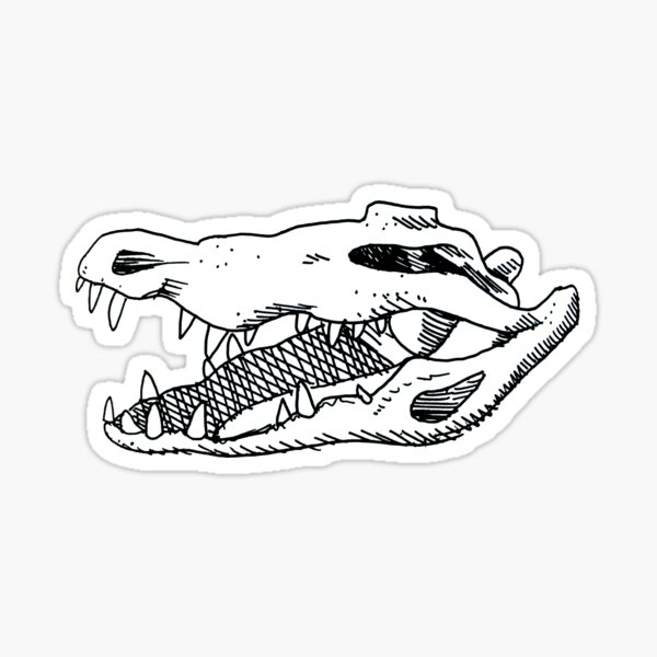 Crocodile Skull  Animal skull tattoos Alligator tattoo Animal skull  drawing