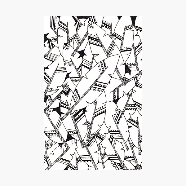 Black and white boho feathers Photographic Print